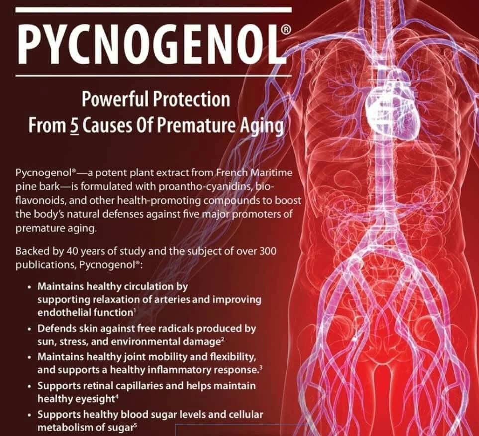 Pycnogenol® a standardized extract from French maritime pine tree bark, significantly improved some of the discomforting symptoms of of this condition including redness, flaking, and thickness of the total surface area of the affected skin patches.